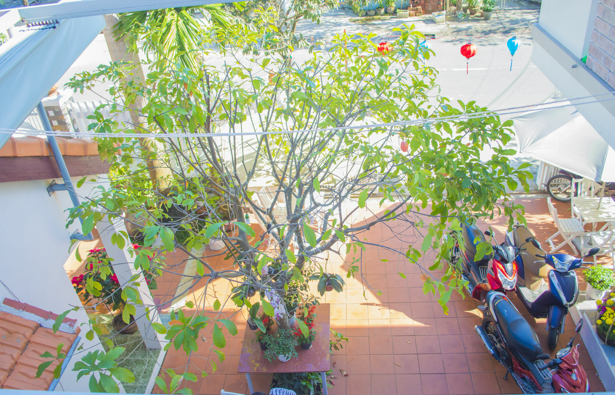 Halo Homestay Hội An Kültér fotó